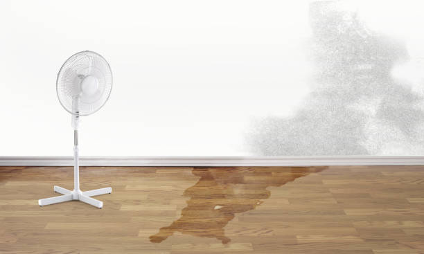 Best 24/7 water damage repair  in Salem, NJ