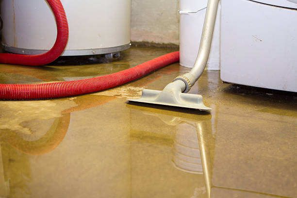 Best Ceiling water damage repair  in Salem, NJ